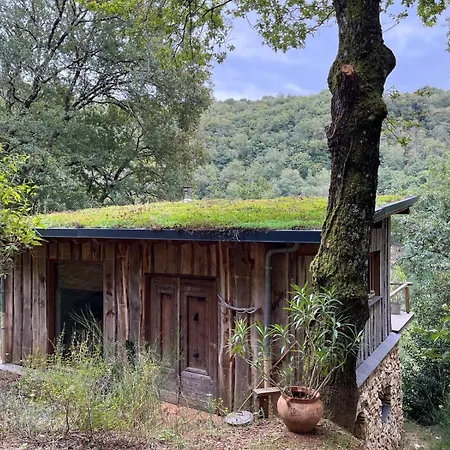 House Ii // Alauzet + Nature