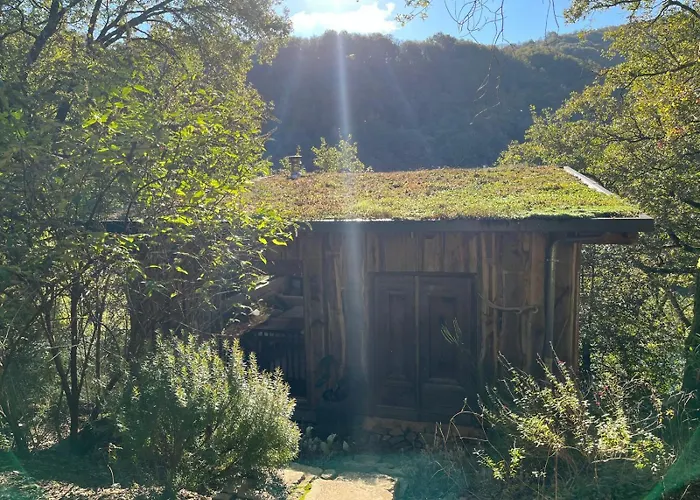 House Ii // Alauzet + Nature